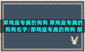 摩羯座专属的狗狗 摩羯座专属的狗狗名字/摩羯座专属的狗狗 摩羯座专属的狗狗名字-我的网站